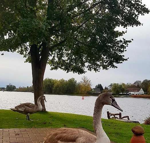 Apartman Ferienanlage Pritzerbe *